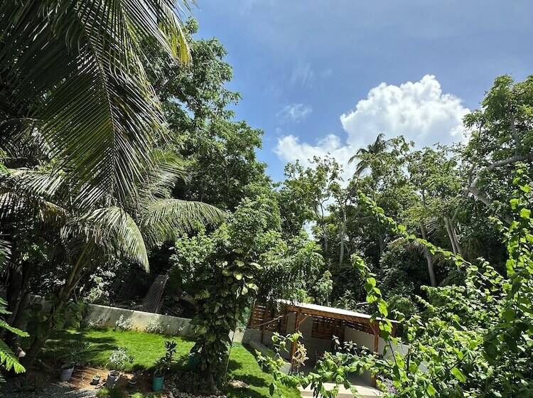 هاستل Palmare House