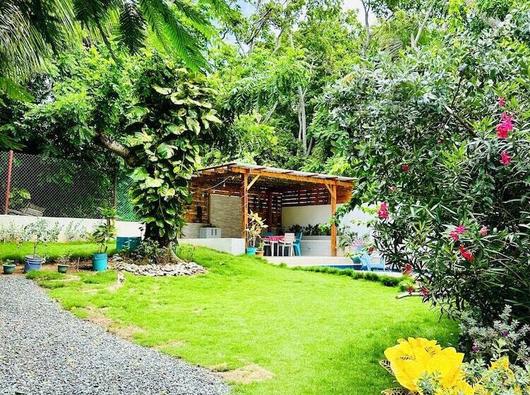 هاستل Palmare House