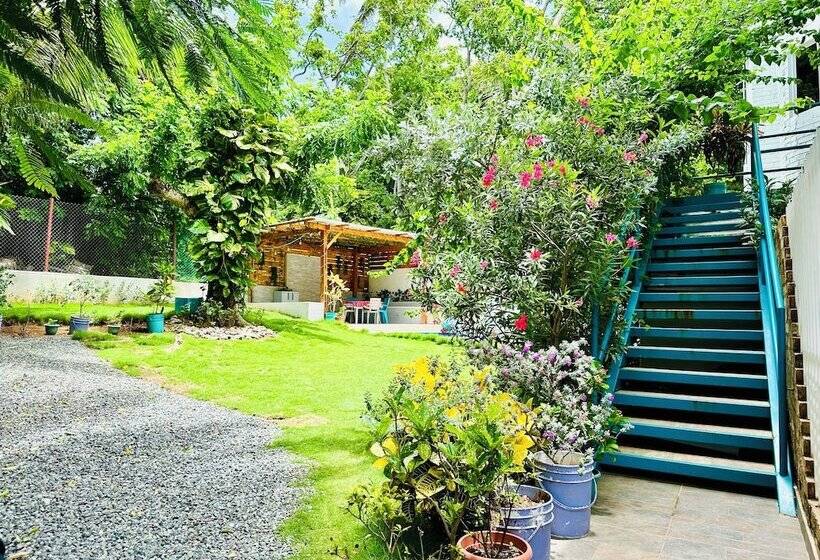 هاستل Palmare House