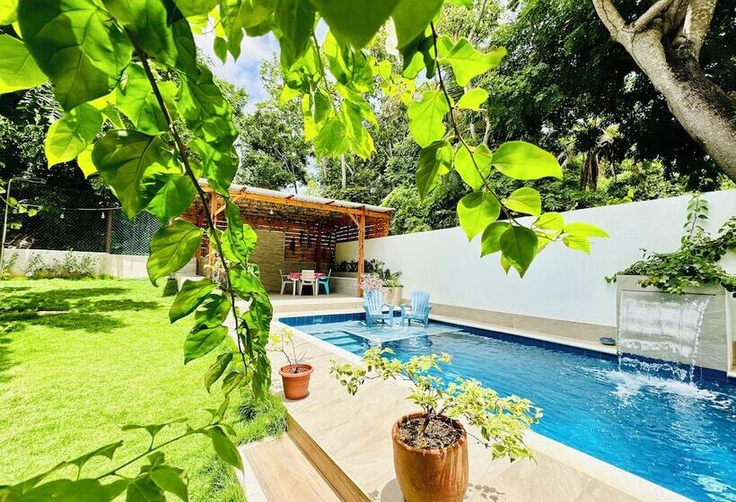 هاستل Palmare House