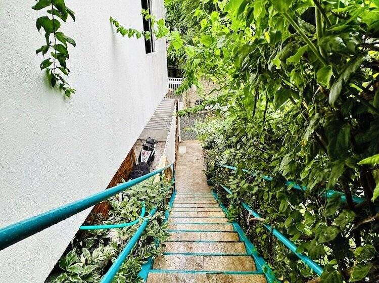 هاستل Palmare House