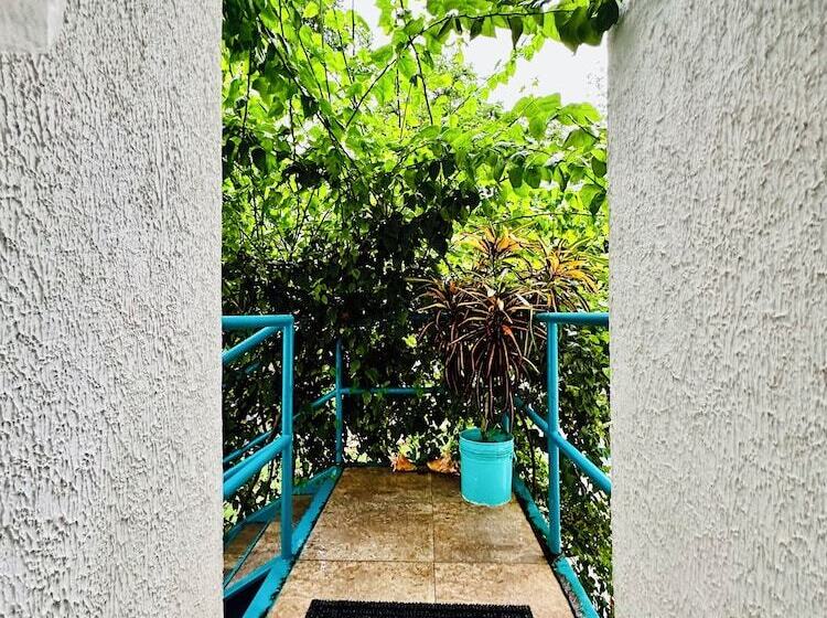 هاستل Palmare House