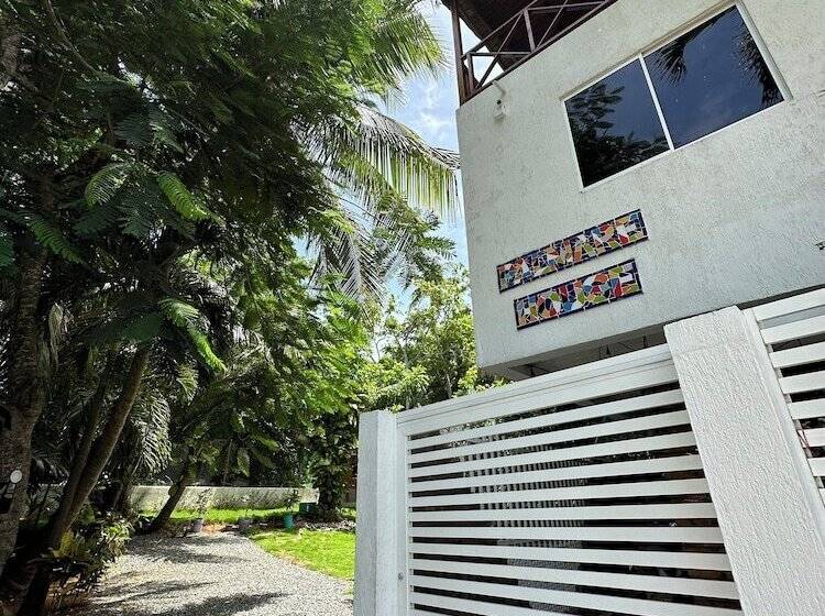 هاستل Palmare House