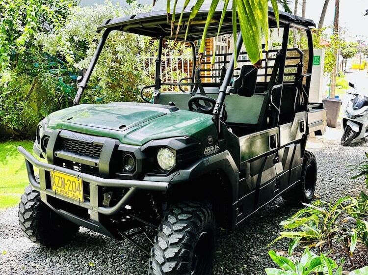 هاستل Palmare House