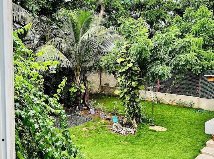 هاستل Palmare House