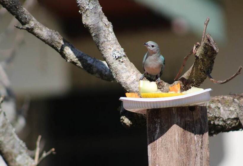 هاستل Vila Velasco