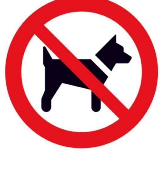 민박 Studio Holunder Weissbriach