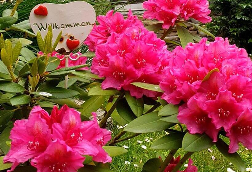 Pensjonat Rohonci Vendégház