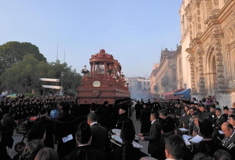 هاستل Casa Seibel