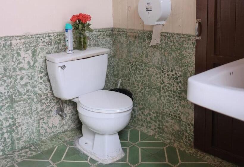 هاستل Casa Seibel