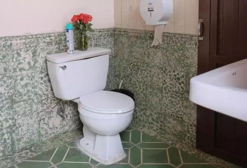 هاستل Casa Seibel