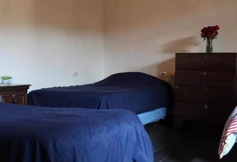 هاستل Casa Seibel