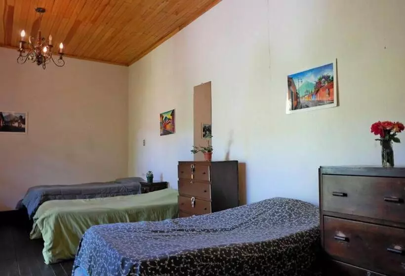 هاستل Casa Seibel