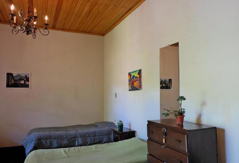 هاستل Casa Seibel