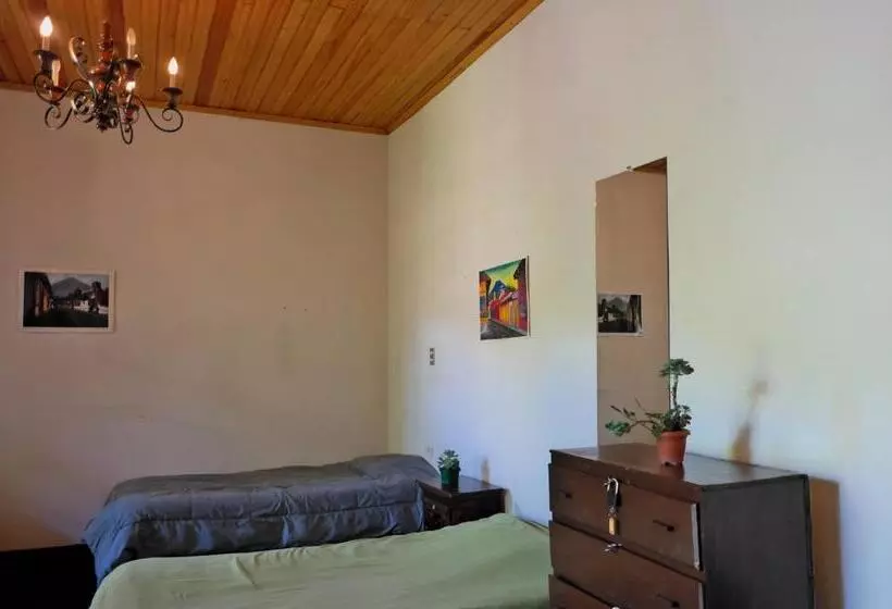 هاستل Casa Seibel