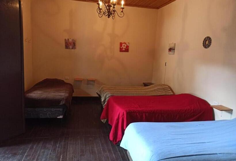 هاستل Casa Seibel