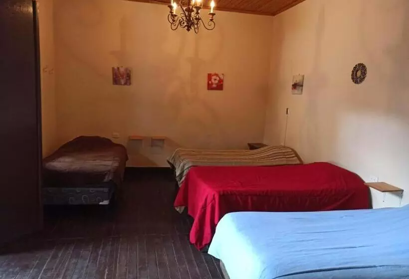 هاستل Casa Seibel