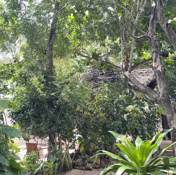 בית מלון כפרי Atii Bungalow