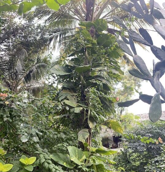 בית מלון כפרי Atii Bungalow