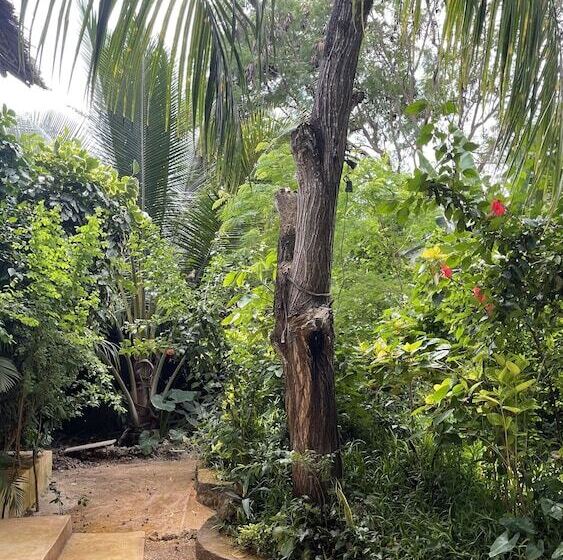 בית מלון כפרי Atii Bungalow