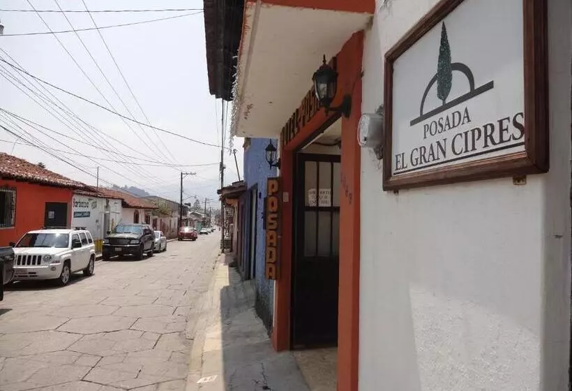 هتل Posada El Gran Cipres
