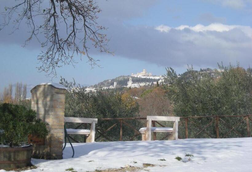 ホテル Villa Rosy