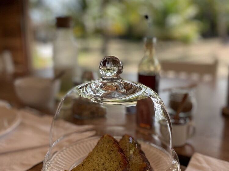 پانسیون Abaetetuba Pousada