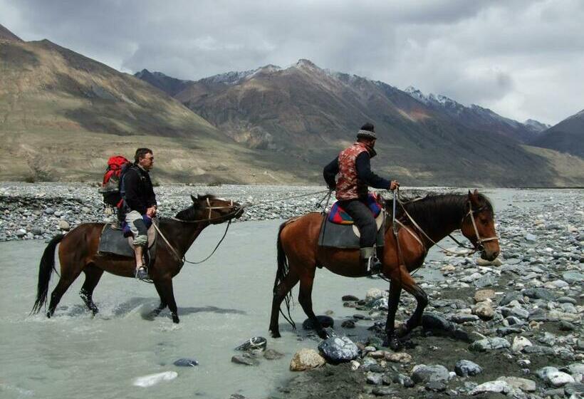 پانسیون City Guesthouse & Tours