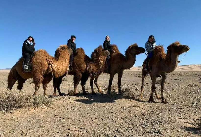 پانسیون City Guesthouse & Tours