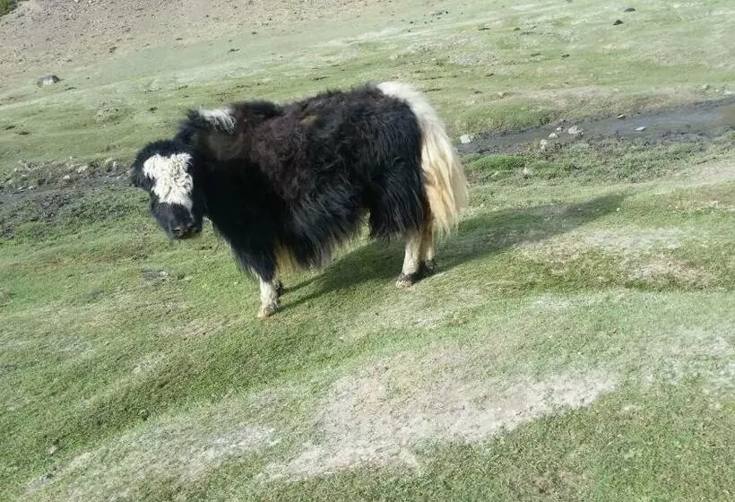 پانسیون City Guesthouse & Tours