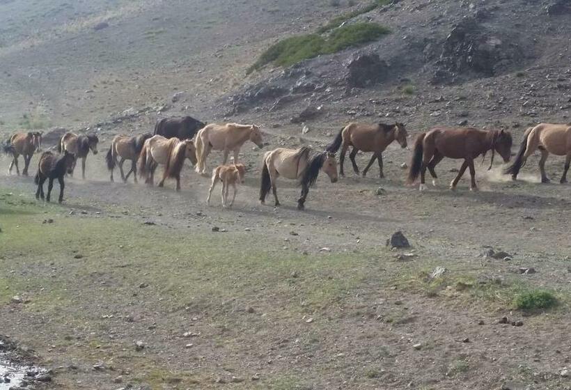 پانسیون City Guesthouse & Tours