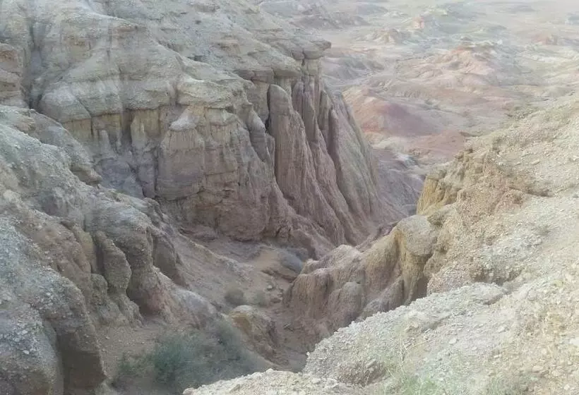 پانسیون City Guesthouse & Tours