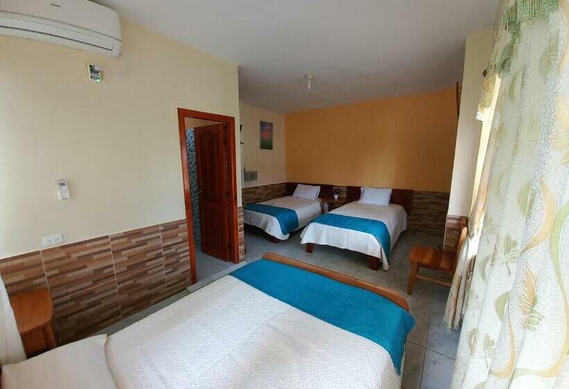 פנסיון Hostal Janet Starlink