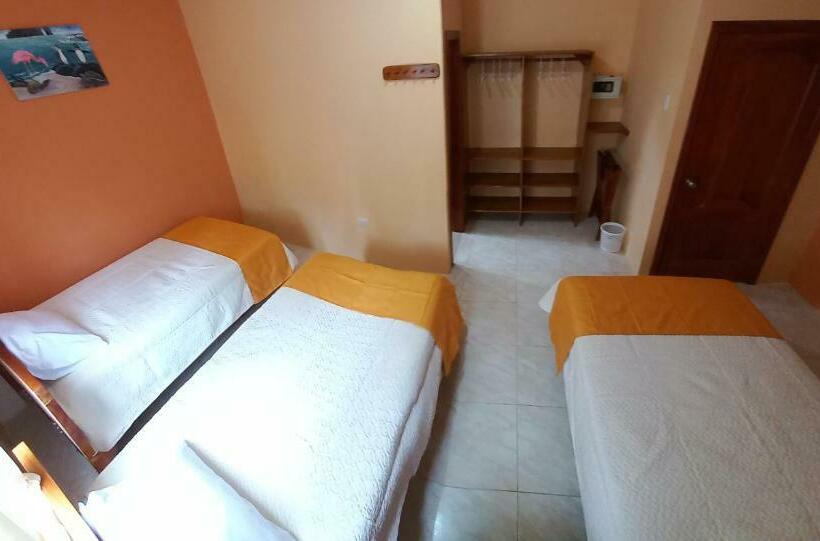 פנסיון Hostal Janet Starlink