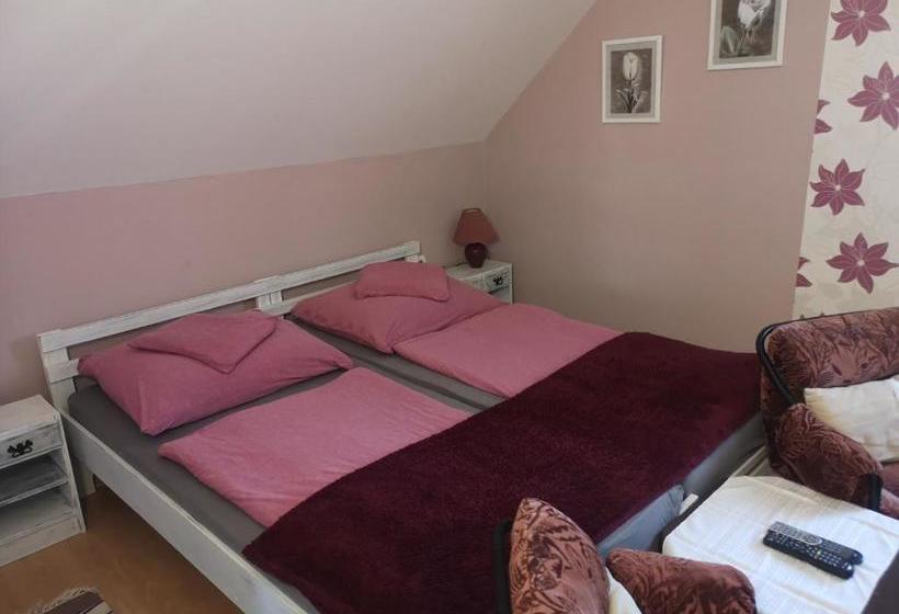 Pensjonat Kovács Vendégház