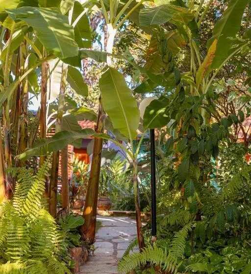 ペンション Pouso, Cafe E Cultura