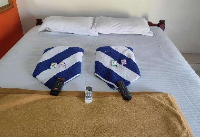 Pensjonat Rocky Guesthouse