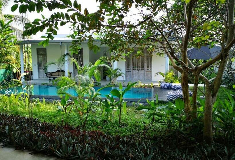 膳宿费 South House Weligama