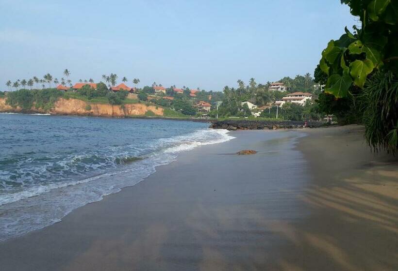 膳宿费 South House Weligama