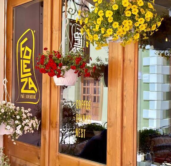 Foleza   Bed And Breakfast