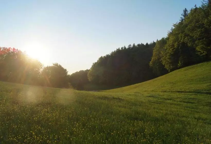 هتل Schoberhof