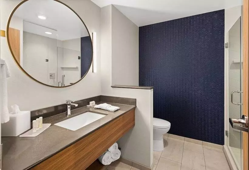 ホテル Fairfield By Marriott Inn & Suites Duluth