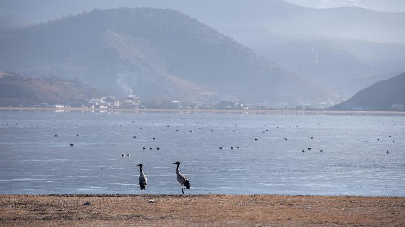 호텔 Indigo Diqing Moonlight City, An Ihg