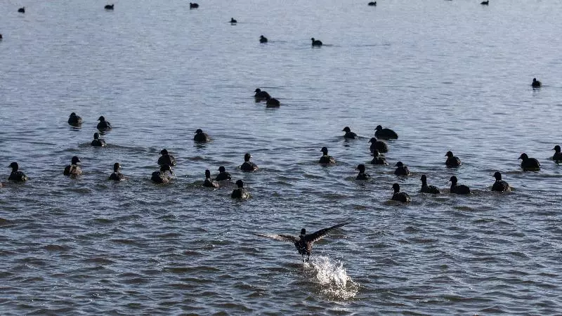 ホテル Indigo Diqing Moonlight City, An Ihg