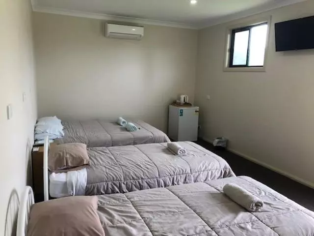 Hotelli The Golden Dog