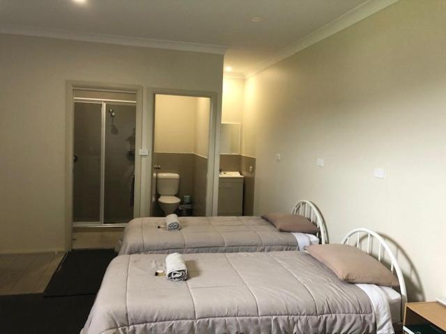 Отель The Golden Dog