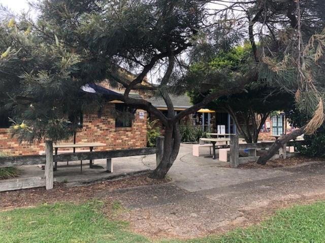 Отель The Golden Dog