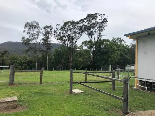 Hotelli The Golden Dog