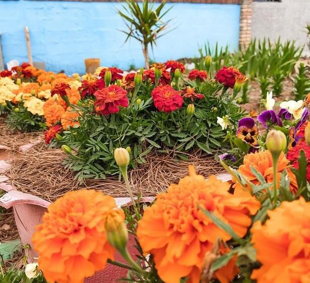 ペンション Pousada Rota Da Kombi