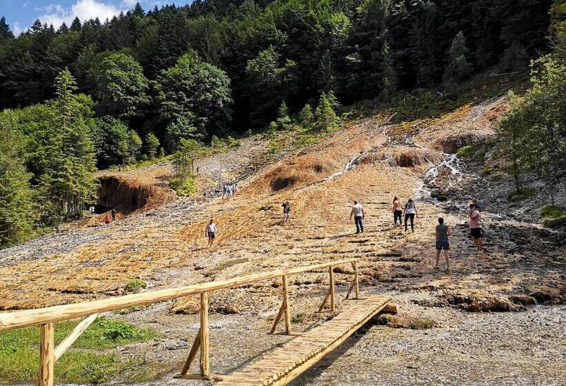 Pensiunea Izvorul Bucuriei